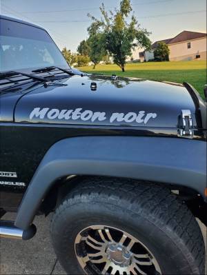 2013 jeep wangler  Black sheep Lettering from Tim C, KY