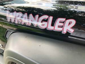 2019 Jeep Wrangler  Lettering from Michael P, PA