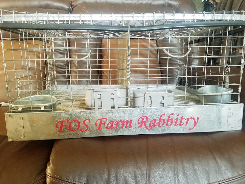 Rabbit transport cage Lettering from Elaine M, CO