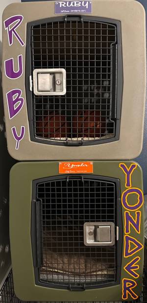 Dog Kennel Lettering from Jeff E, TX