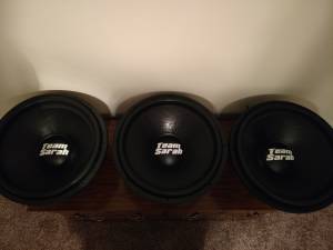 Plastic dust caps for the subwoofers I built. Lettering from Benjamin H, IN